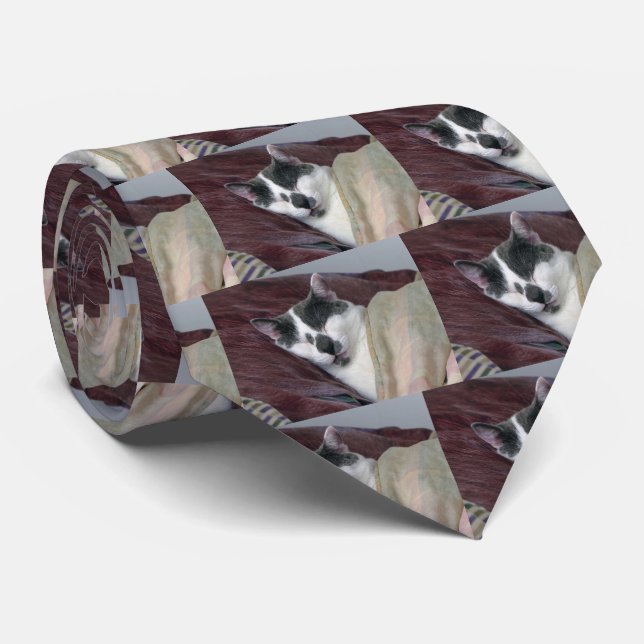 Cat Napping Tie (Rolled)