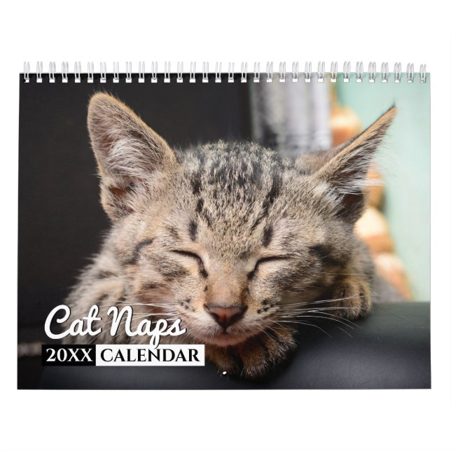 Cat Naps - Calendrier des murs photo (Protection)