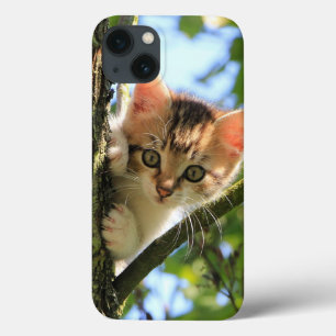 Cat, Nature, Kitten iPhone 13 Case