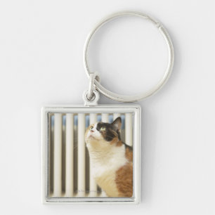 Cat next to radiator keychain