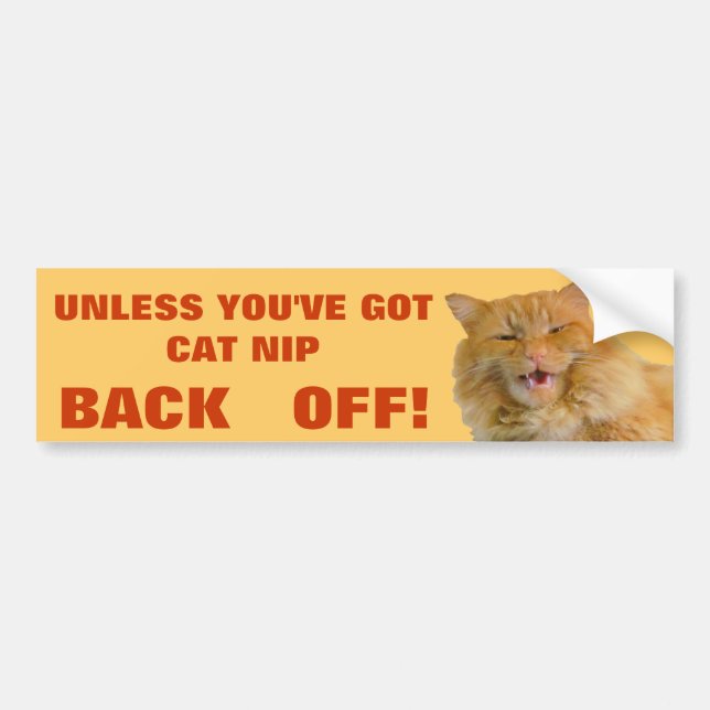 Cat Nip Treats  or Back Off Grumpy Kitty Bumper Sticker (Front)