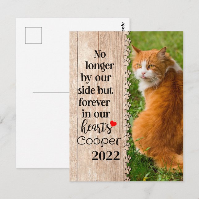 Cat No Longer By Our Side But Forever In Our Heart Postcard (Front/Back)