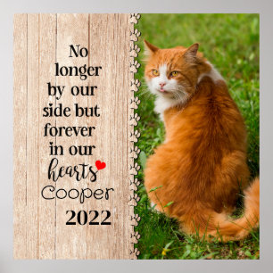 Cat No Longer By Our Side But Forever In Our Heart Poster