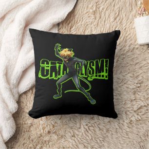 Cat Noir Cataclysm Throw Pillow