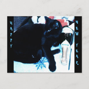 CAT NOIR de CHAMPAGNE, carte postale de NOUVELLE A