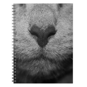 CAT NOSE IN BLACK AND WHITE NOTEBOOK
