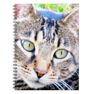 Cat Notebook