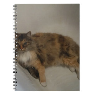 Cat Notebook