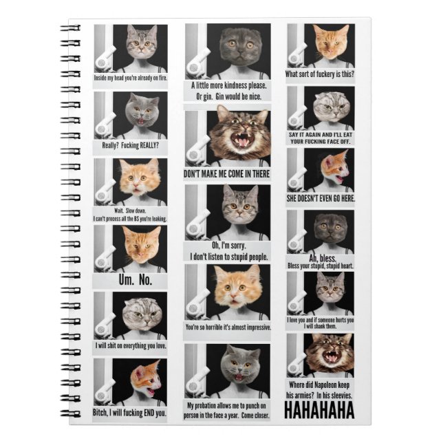 cat notebook (Front)