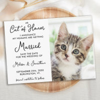 Cat Of Honour Custom Pet Photo Casual Wedding