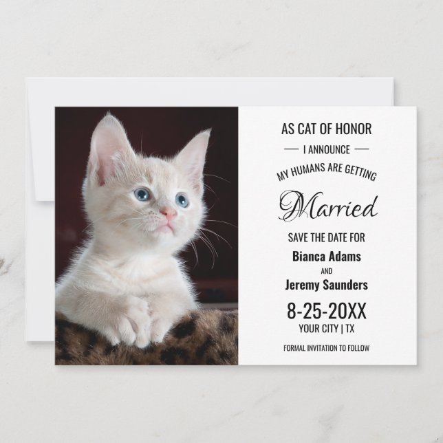 Cat of Honour Pet Photo Wedding Save The Date (Front)