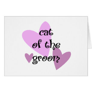 Cat of the Groom