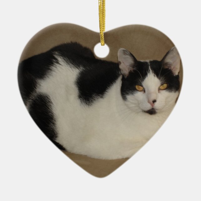 Cat On A Couch Ceramic Ornament (Front)