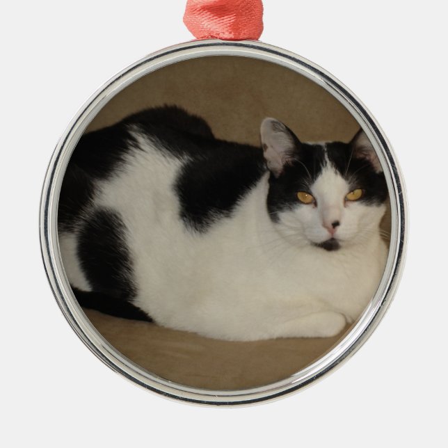 Cat On A Couch Metal Ornament (Front)