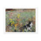 Cat on a Flowery Meadow, Bruno Liljefors