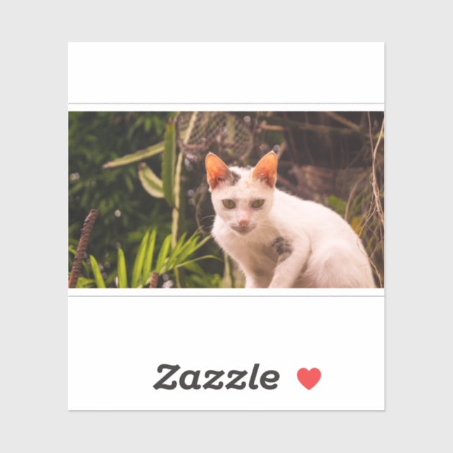 Cat on a Wall (Sheet)
