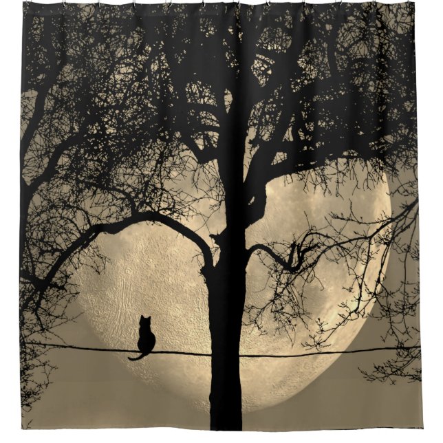 Cat on a Wire Full Moon (Front)