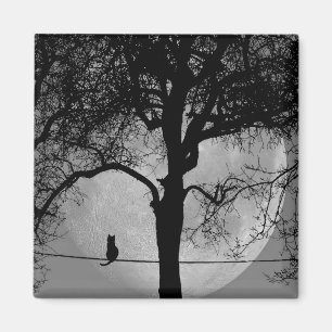 Cat on a Wire Full Moon Magnet
