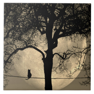 Cat on a Wire Full Moon Tile