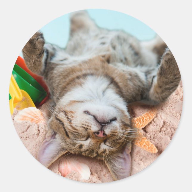 Cat on beach and blue sky classic round sticker (Front)