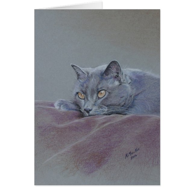 Cat on blanket, Just Relaxing, fine art (Front)