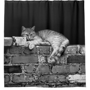 Cat on Brick Wall