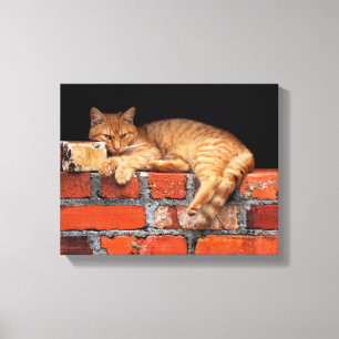 Cat on Brick Wall Canvas Print
