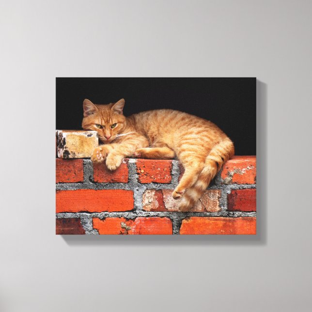 Cat on Brick Wall Canvas Print (Front)
