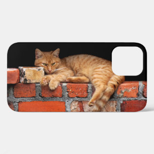 Cat on Brick Wall iPhone 12 Case