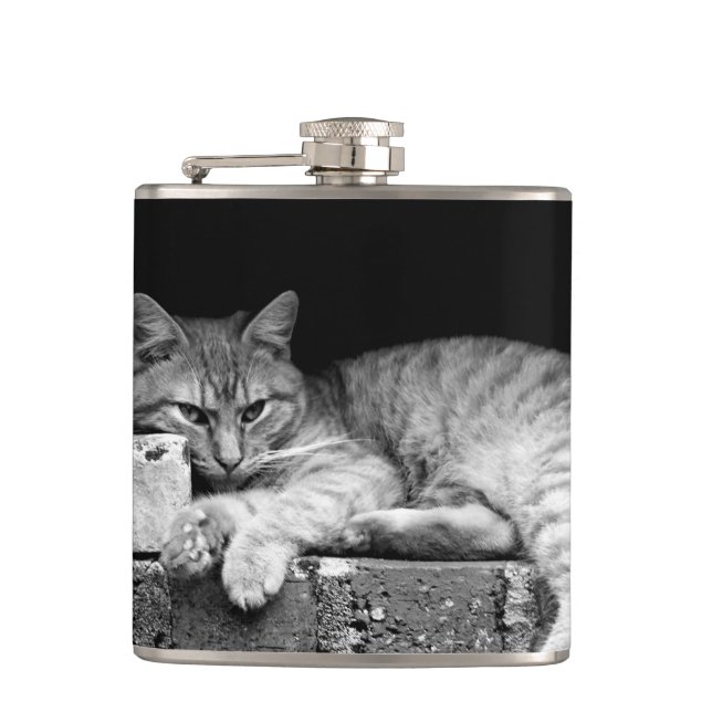 Cat on Brick Wall Hip Flask (Front)