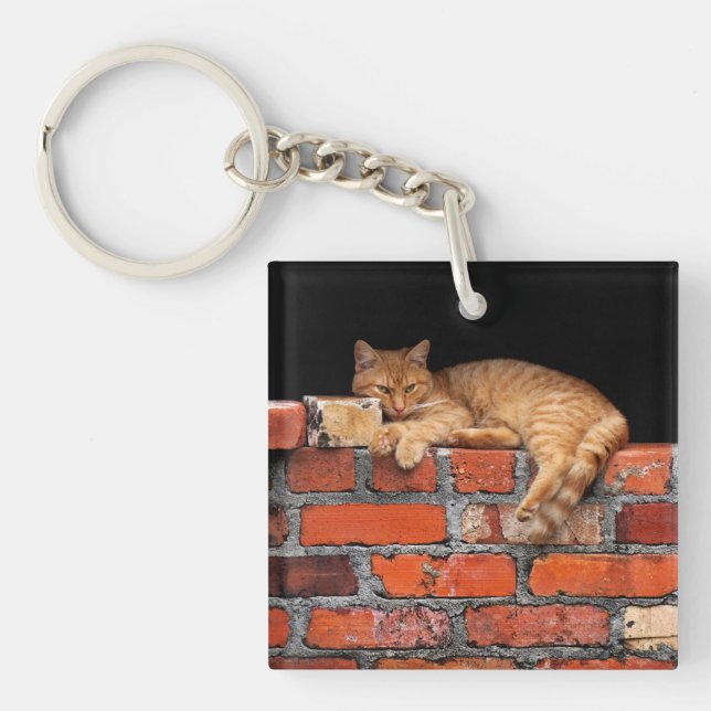 Cat on Brick Wall Keychain (Front)