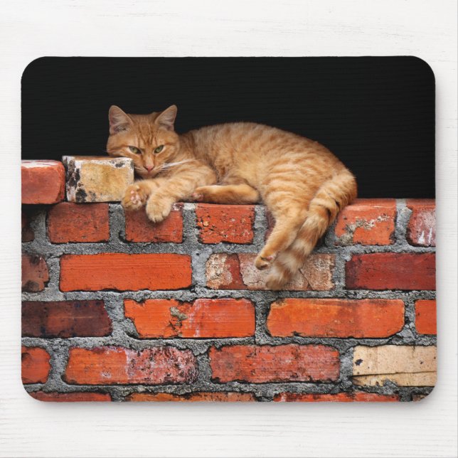 Cat on Brick Wall Mouse Pad (Front)