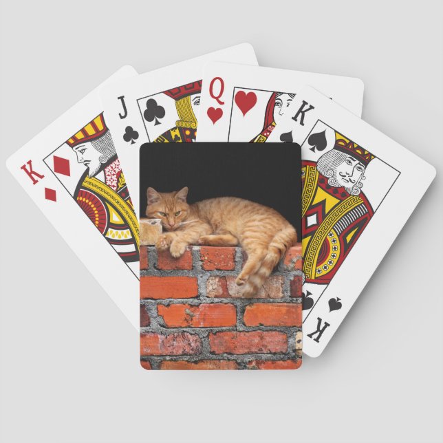Cat on Brick Wall Playing Cards (Back)