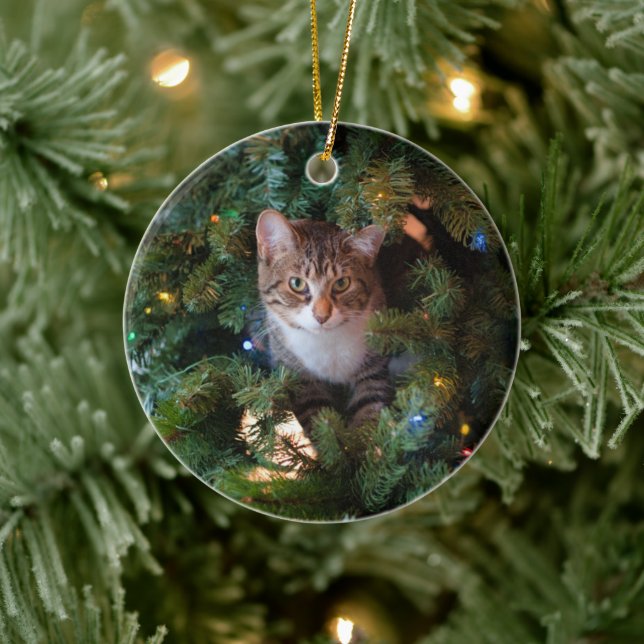 Cat on Christmas tree Ceramic Ornament (Tree)