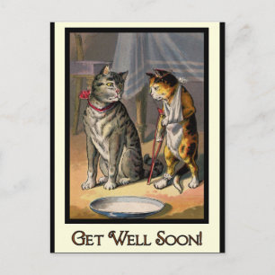 Cat on Crutches Postcard