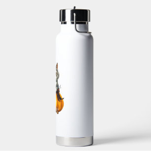 Cat on Halloween pumpkin Classic T-Shirt Water Bottle