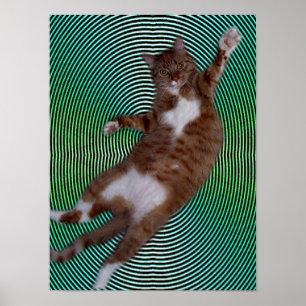 Cat on Hypnotic Background Poster