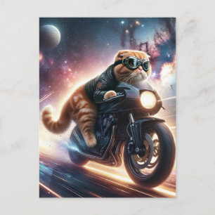 Cat on motorcycle  postcard