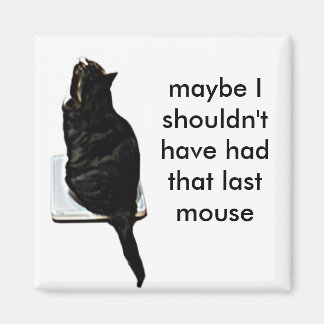 Cat on scales magnet