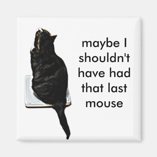 Cat on scales magnet (Front)