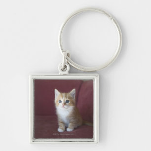 Cat on sofa keychain