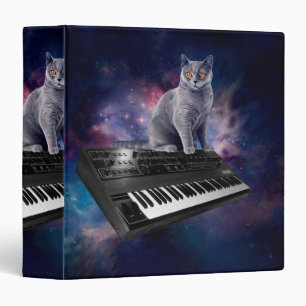 Cat on synthesizer in space binder