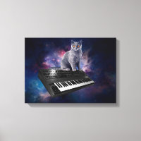 Cat on synthesizer in space