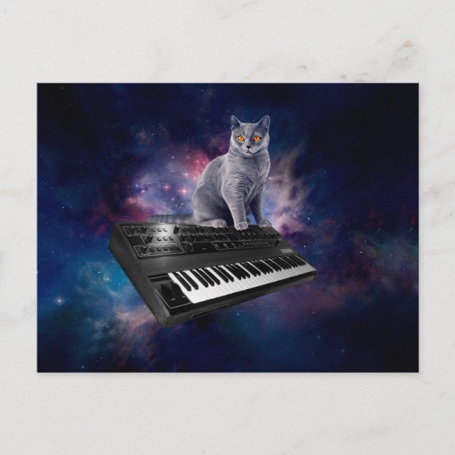 Cat on synthesizer in space postcard (Front)