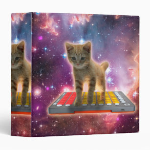 Cat on synthesizers in space binder