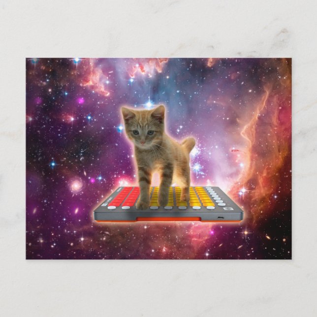 Cat on synthesizers in space postcard (Front)