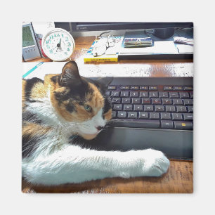 Cat on the Keyboard Magnet