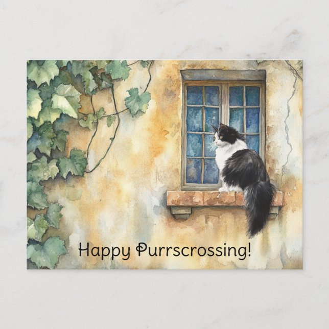 Cat on Windowsill Postcrossing - Postcard (Front)