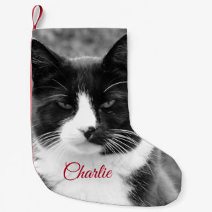 Cat or Dog Personalized Holidays Small Christmas Stocking