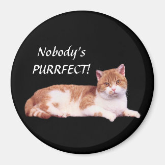 Cat Orange & White Magnet
